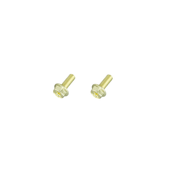 Sissy Bar Bolt Set Gold