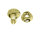 Bolt & Nut Fork Gold 15 x 8 Golo